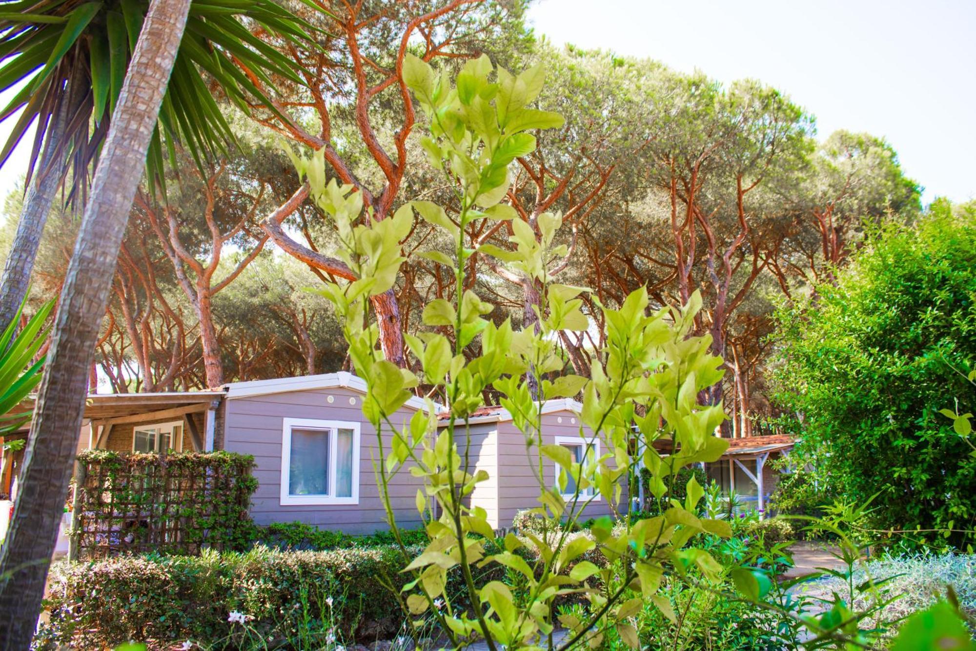 אלביניה Camping Village Africa מראה חיצוני תמונה